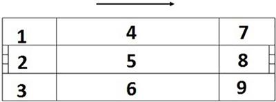 Mixed Methods in Decision-Making Through Polar Coordinate Technique: Differences by Gender on Beach Handball Specialist